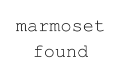 Marmoset found